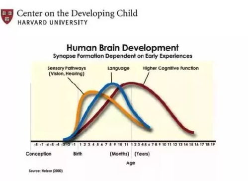 光谱游戏，如何通过色彩激发孩子的创造力和认知发展