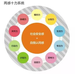 全面理解儿童成长，发展期与其他关键时期