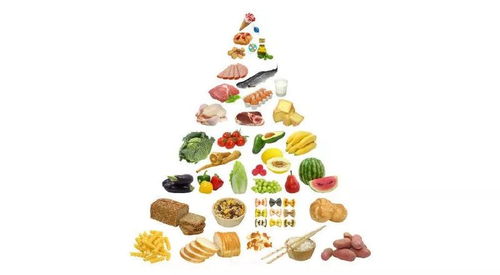 唱出健康，食物营养搭配儿歌教案