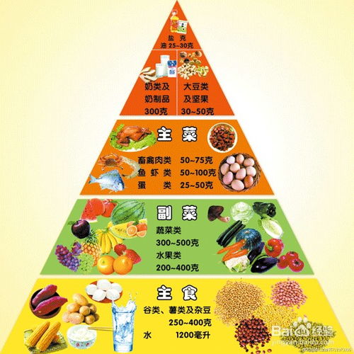 中国食物营养成分表第六版，为育儿提供科学饮食指南