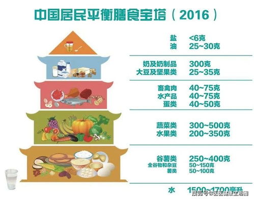 宝宝健康成长，食物营养与搭配的科学指南