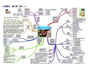 幼儿心理学思维导图笔记，理解孩子的内心世界