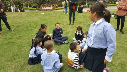 亲子互动，精选活动游戏，促进孩子全面发展