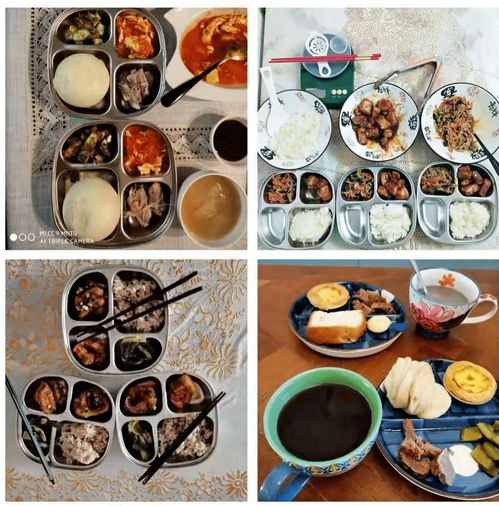 食物营养与配餐百科，为孩子打造健康饮食