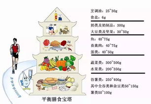 膳食指南餐盘，为孩子打造均衡营养的饮食计划