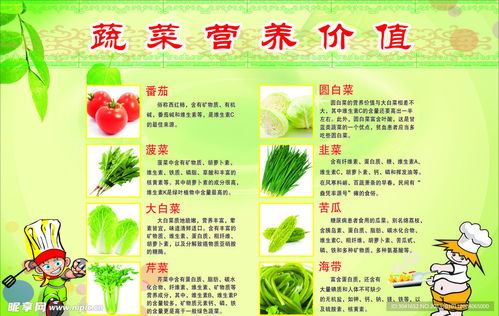 营养小报，食物中的六大营养成分及其对孩子成长的重要性