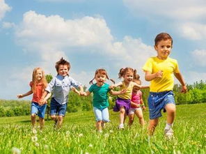 亲子游玩项目，提升家庭互动与孩子发展的关键