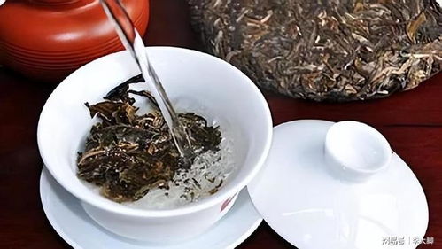 探索食物中的宝藏，营养物质视频讲解