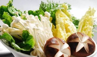 探索食物中的宝藏，营养物质视频讲解