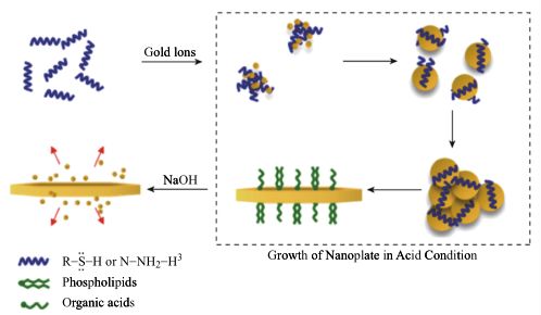 光谱图片中的噪音，如何识别并减少育儿中的差别对待