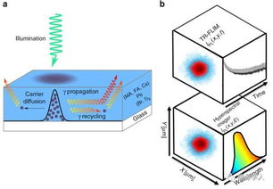 光谱图片中的噪音，如何识别并减少育儿中的差别对待