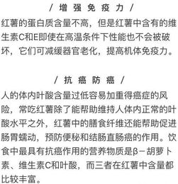 营养均衡，日常食物营养成分表的全面解析