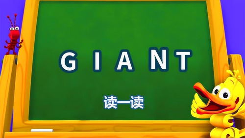 一个人的乐趣，探索适合独自享受的娱乐活动