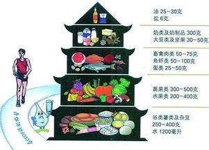 4-1岁儿童营养金字塔，构建健康饮食的基础