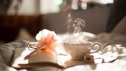 用爱浇灌，关注孩子成长的温馨句子集锦