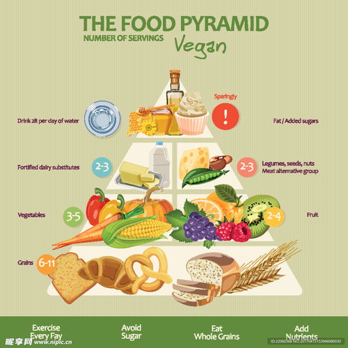 营养饮食金字塔，构建健康饮食的基石