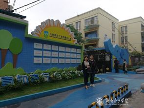 幼儿教育的未来，华南师范大学幼儿教育专业深度解析