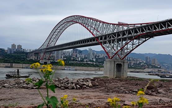 幼教转岗小教，从幼儿园到初中的桥梁