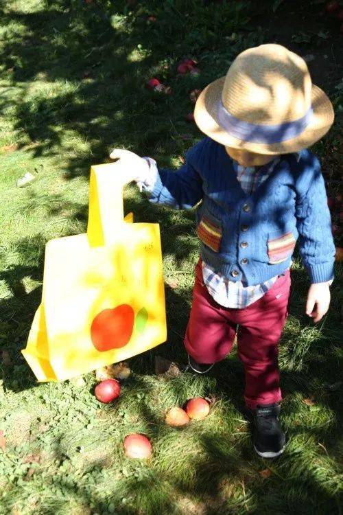 探索孩子的世界，多样化的玩耍活动类型