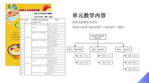 幼儿教育学课程标准，构建全面发展的教育框架