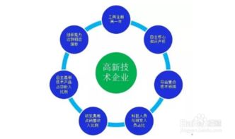 企业成长的关键因素，多维度分析