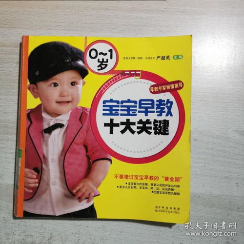 幼儿教育的核心组成部分及其重要性