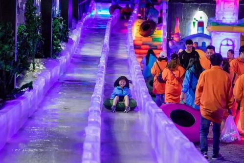 亲子游乐园，打造家庭欢乐时光的五大活动主题