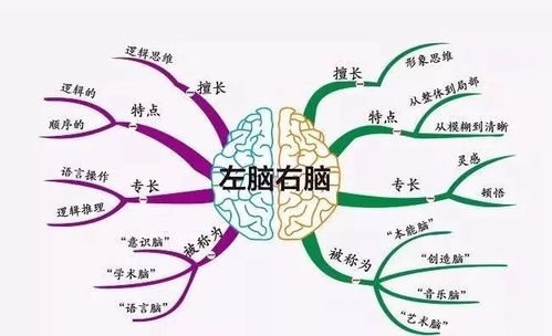 幼儿教育心理学笔记，构建思维导图，促进认知发展