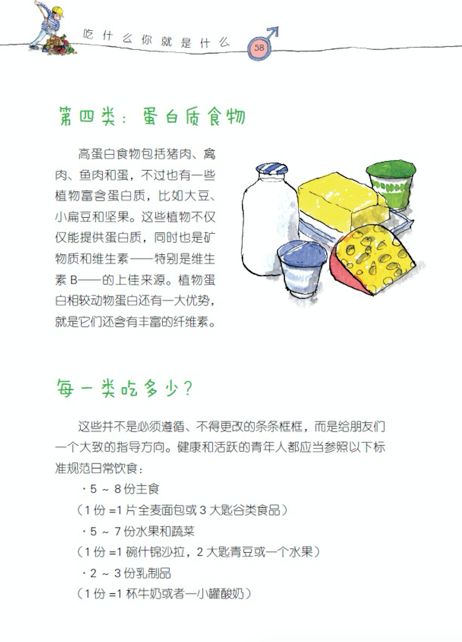 宝宝健康成长的营养指南，一份全面的食物营养成分小报