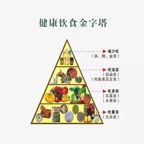 食物的营养科学，为孩子打造健康饮食手抄报