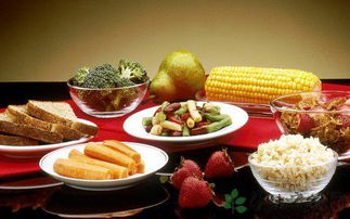 为病人提供易消化食物，胃管喂食的营养指南