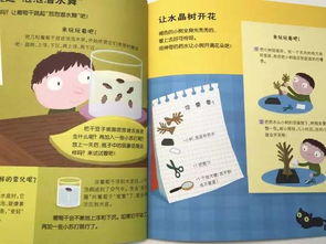 启航未来，幼儿教育书籍的精选指南