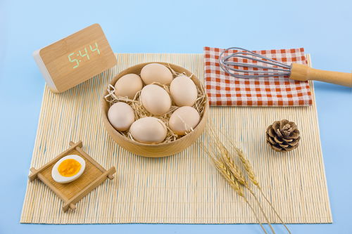 全面了解，各种食物的营养价值及其对儿童成长的重要性