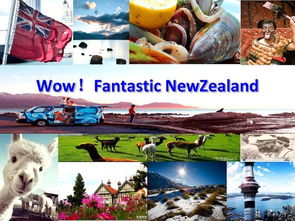 亲子共游，如何用英语描述游玩活动