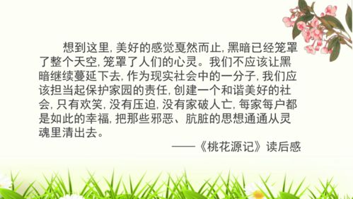 幼儿教育视频观后感，大班教学的启示与反思