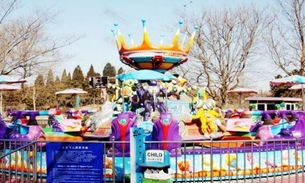 投资游乐场，盈利潜力与挑战并存的商业冒险