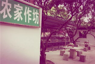 农家乐，亲子教育的新天地