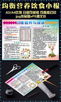 营养小报，四年级学生的食物营养指南