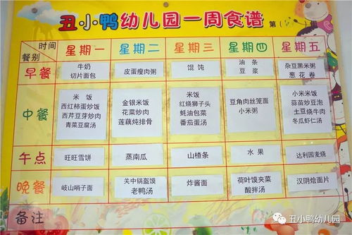 构建孩子健康成长的基石，食物营养表金字塔