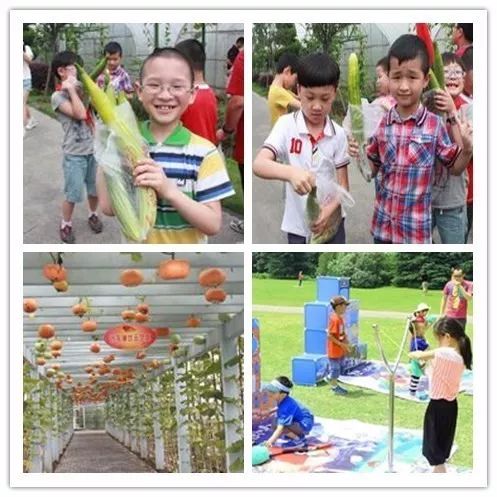 亲子游玩活动，寓教于乐的图片大全