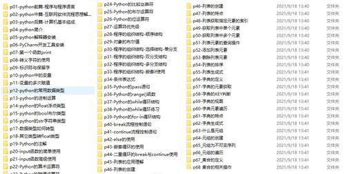 IT信息技术入门指南：从基础到职业发展，轻松掌握数字时代核心技能