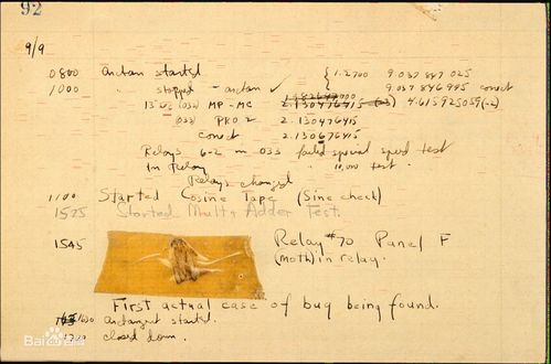 Bug是什么意思？程序员必看：从定义到修复全攻略，告别代码错误烦恼