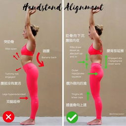 瑜伽入门指南：从基础体式到流派选择，轻松开启身心平衡之旅