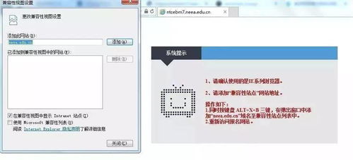 幼师资格证报考条件全解析：轻松避开报考陷阱，快速拿证开启幼师之路