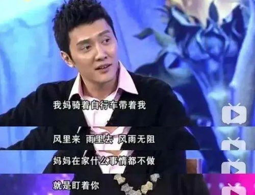 杨子：从商界精英到演艺明星的完美跨界转型之路，揭秘多重身份平衡之道