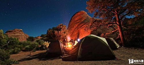 Camp新手必看：从装备选择到安全露营的完整指南，轻松享受自然乐趣