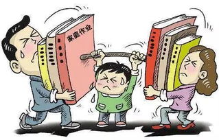 学校选择全攻略：轻松避开择校陷阱，为孩子找到最适合的成长环境