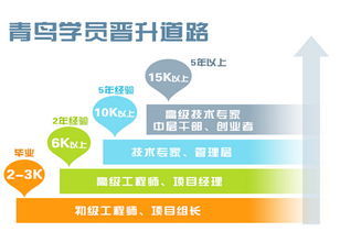 北大青鸟：零基础快速掌握IT技能，高薪就业无忧