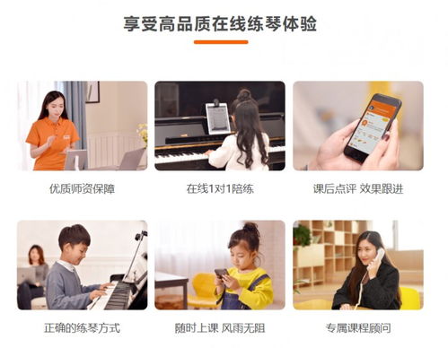 VIP陪练：专业一对一在线音乐陪练服务，让音乐学习更轻松高效