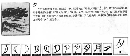 玥字取名寓意解析：如何用玥字为孩子取一个温润如玉的好名字